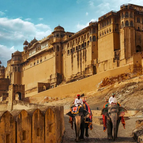 Amber Fort Jaipur Rajasthan