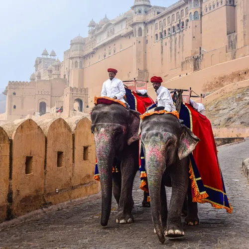 Amber Fort and Jaipur pink city